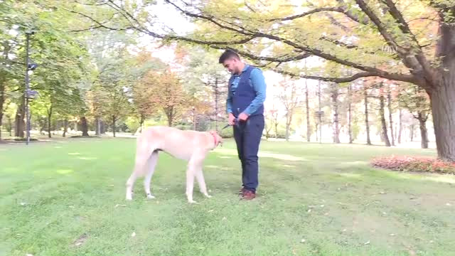 Bakan Pakdemirli’den Hayvanseverlere Destek (1)