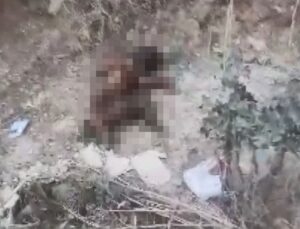 Yavru köpeği ayaklarını kesip yaktılar
