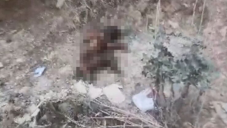 Yavru köpeği ayaklarını kesip yaktılar