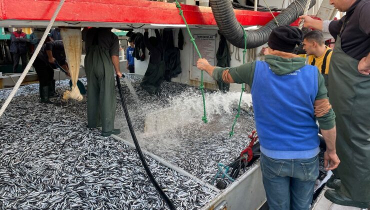 Karadeniz’de hamsi bolluğu