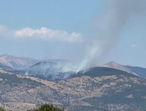Tunceli’de orman yangını: Alevlerle uğraş devam ediyor