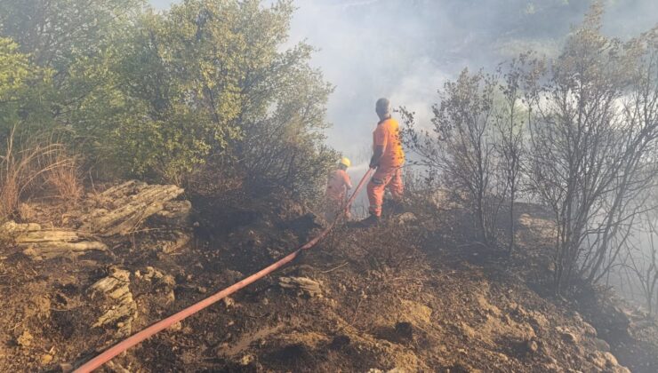 Antalya’da orman yangını