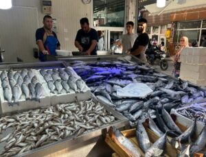 Karadeniz’de palamut bolluğu: Tanesi 80 liraya düştü