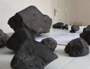 Mantar toplarken bulduğu taşlar göktaşı çıktı