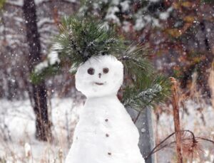 22 vilayette okullar yarın tatil