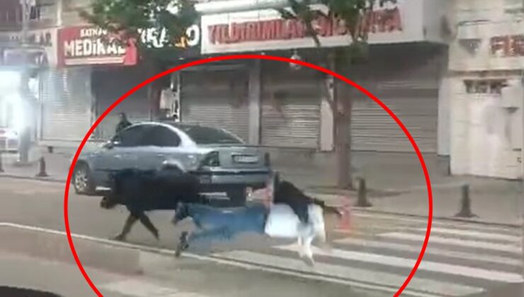 Kent ortasında yaban domuzu paniği! 3 bireye saldırdı