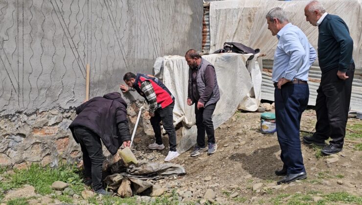 3 metrelik yılan mahalleyi korkuttu: Belediye takımları müdahale etti