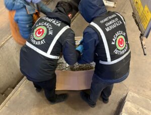 Gümrükler Muhafaza ekipleri son bir haftada toplam 659 kilogram uyuşturucu ele geçirdi