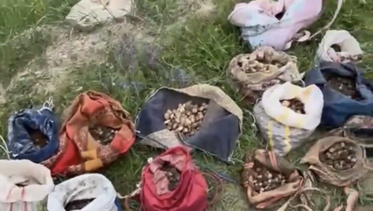 Müsaadesiz salep toplayan 10 bireye 6 milyon 992 bin TL ceza