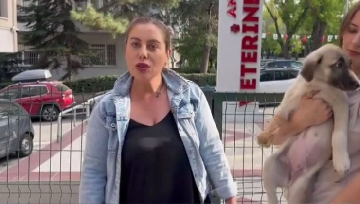 Kardeşini Öldüren Kuşkulu Kırıkkale’de Yakalandı